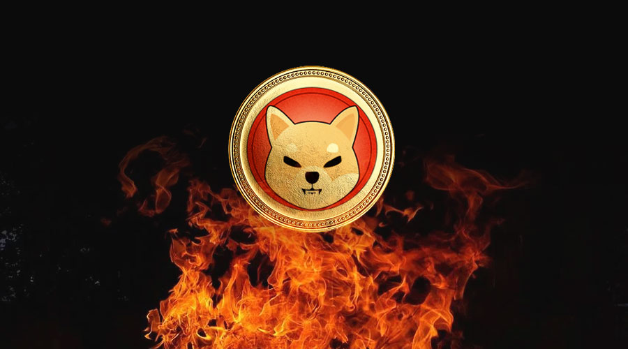 Shiba Inu SHIB Burns Shibarium