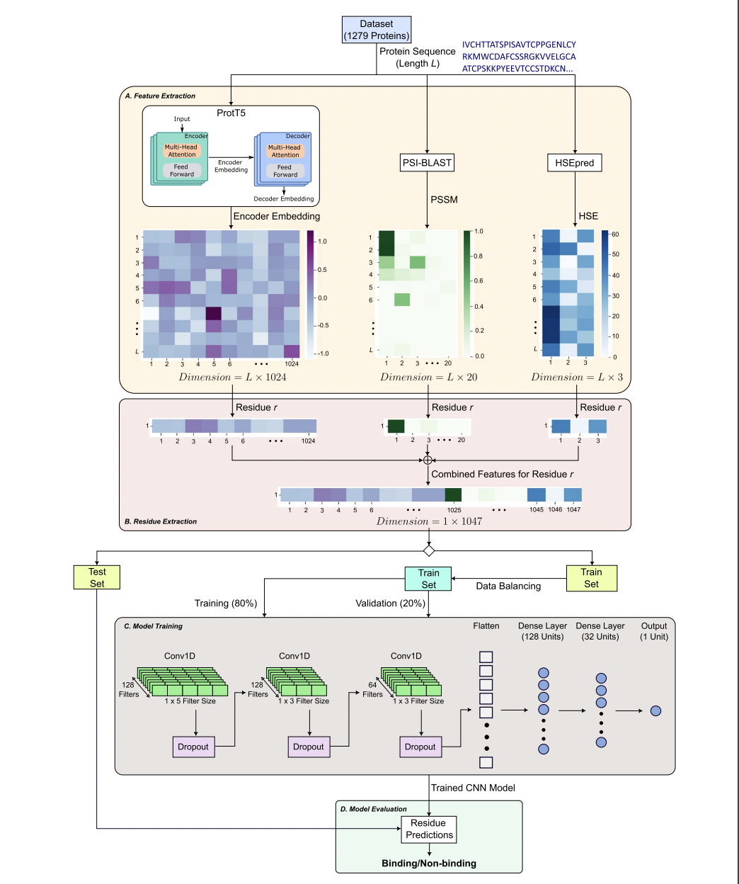 Meet PepCNN: A Deep Learning Tool for Predicting Peptide Binding Residues in Proteins Using Sequence, Structural, and Language Model Features