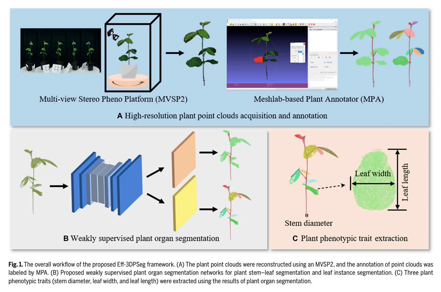 Meet Eff-3DPSeg: A Deep Learning Framework for 3D Organ-Level Plant Shoot Segmentation