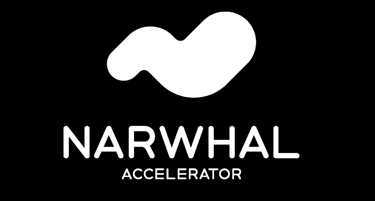 Narwhal Accelerator launches to support game dev startups