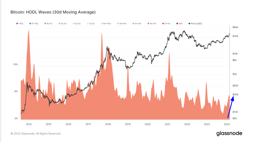 Analysis of HODL waves reveals a speculative market at play